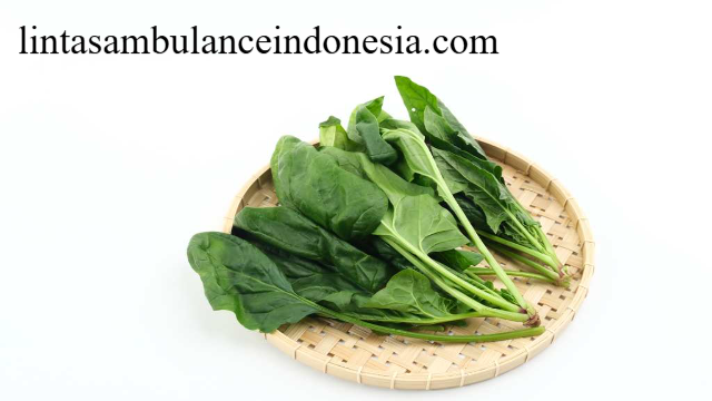 8 Manfaat Bayam Jepang Bagi Kesehatan Tubuh