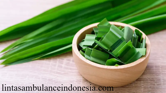 10 Manfaat Daun Pandan untuk Kesehatan Tubuh